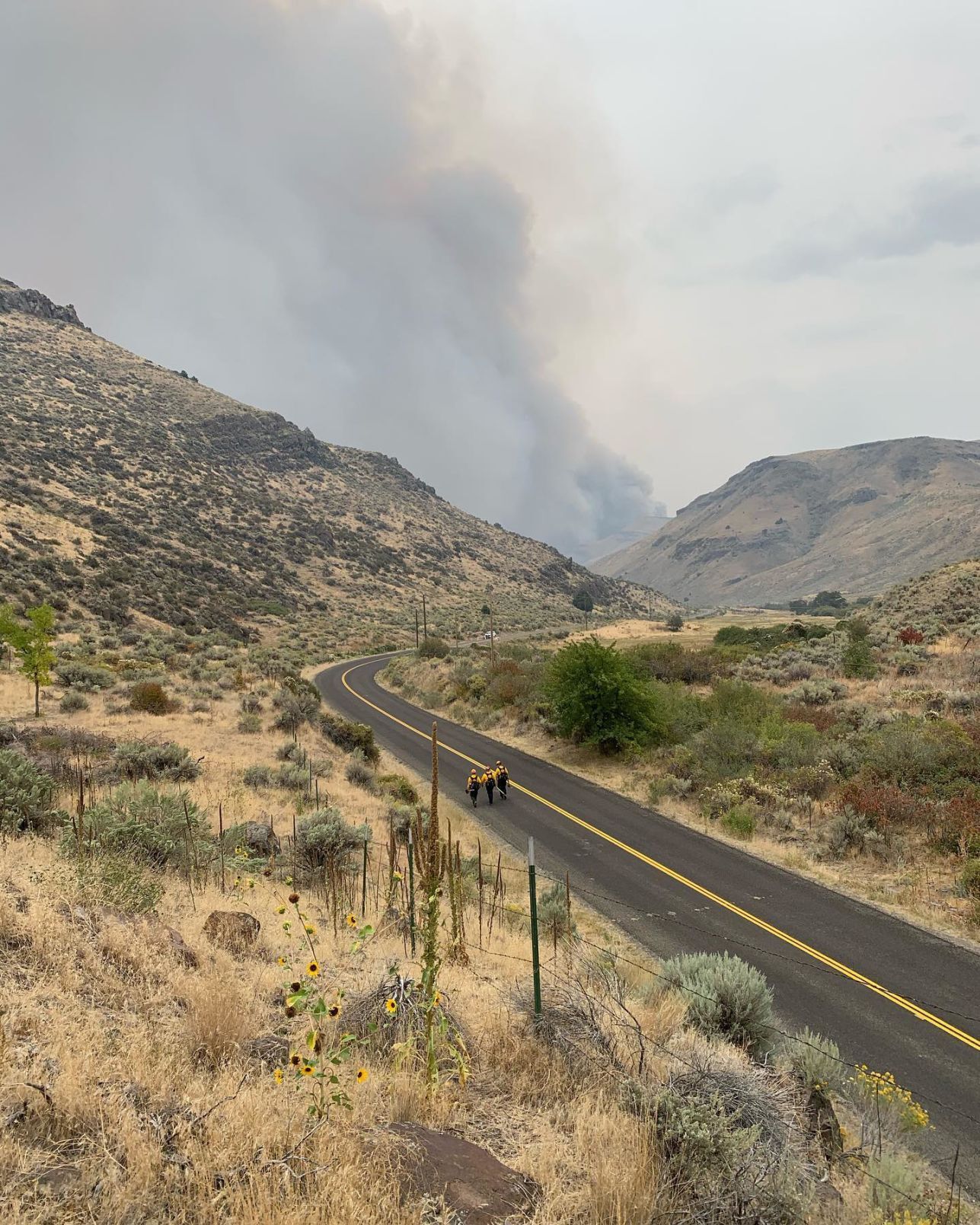 TFFD at Badger Fire